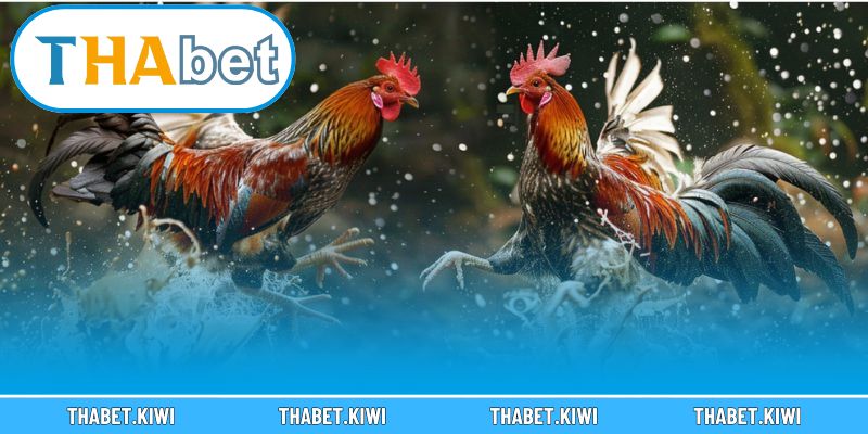Hướng dẫn chi tiết cách chơi dễ thắng cho tân thủ